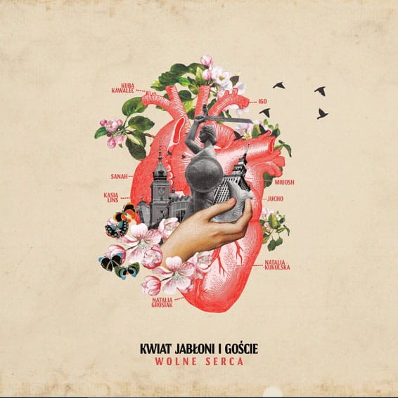 b47b4aaed54b1d04ed1d98dae8372799