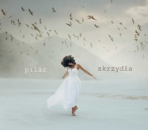 1ec6c3d01f86d4843c02325b2418a566